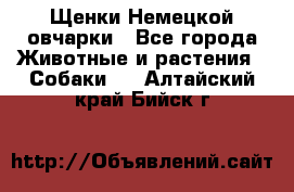 Щенки Немецкой овчарки - Все города Животные и растения » Собаки   . Алтайский край,Бийск г.